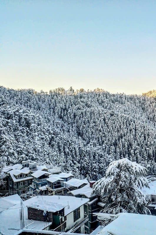 Shimla — illustration placeholder for the Jaipur to Shimla route
